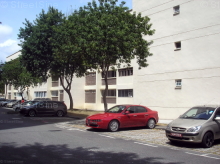 Blk 717 Hougang Avenue 2 (S)530717 #251752